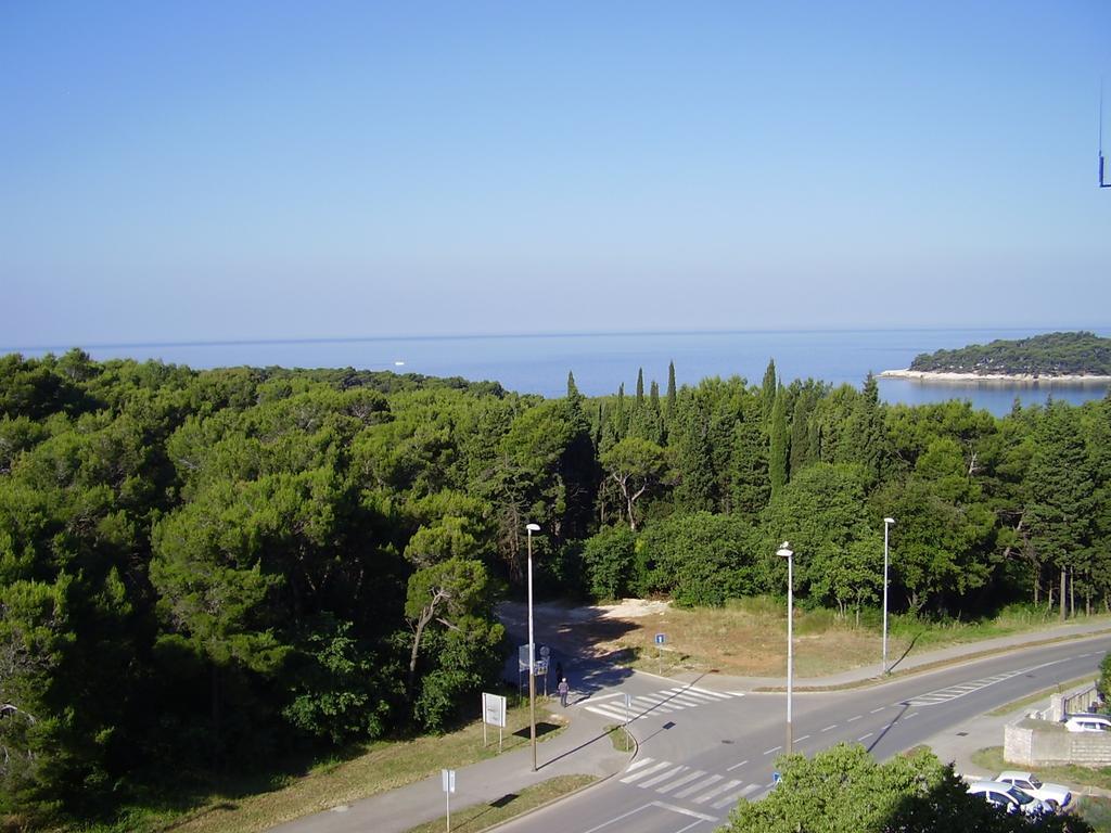 Rea Apartment